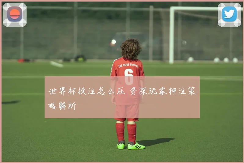世界杯投注怎么压 资深玩家押注策略解析