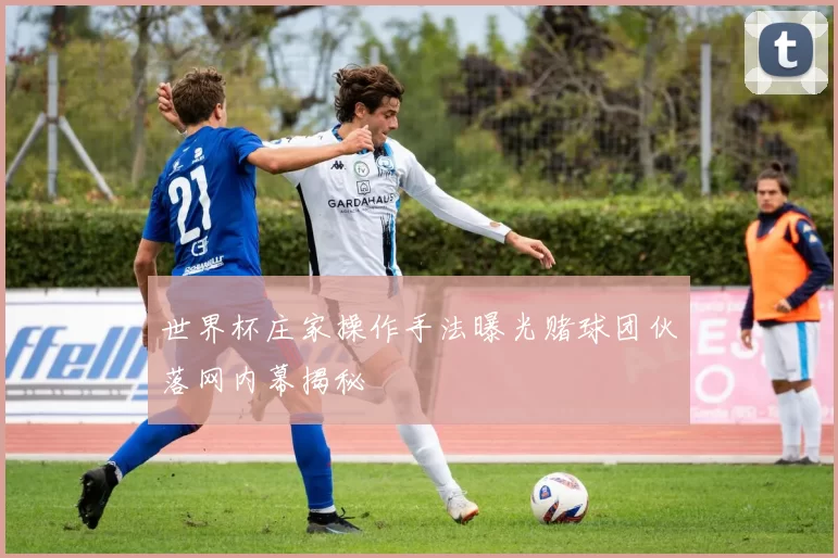 世界杯庄家操作手法曝光赌球团伙落网内幕揭秘