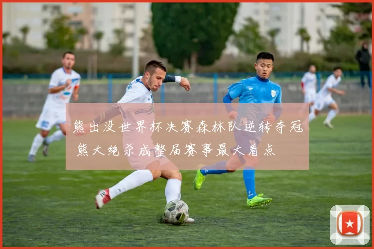 熊出没世界杯决赛森林队逆转夺冠 熊大绝杀成整届赛事最大看点