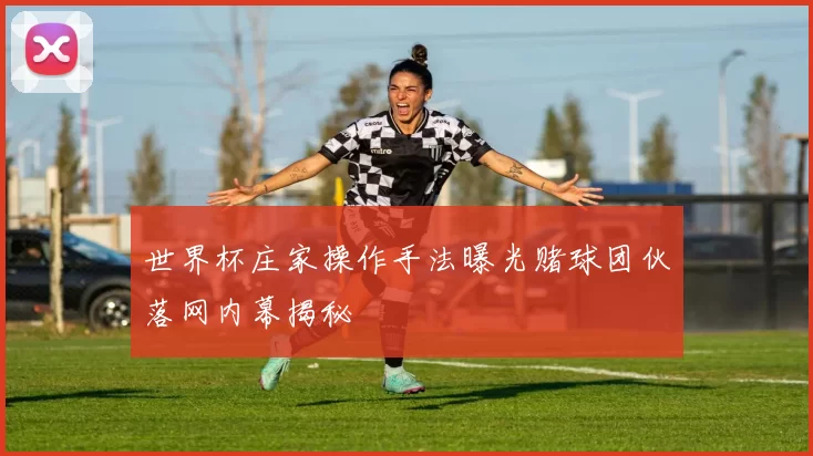 世界杯庄家操作手法曝光赌球团伙落网内幕揭秘