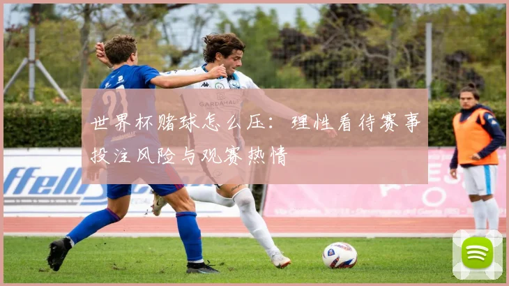 世界杯赌球怎么压:理性看待赛事投注风险与观赛热情