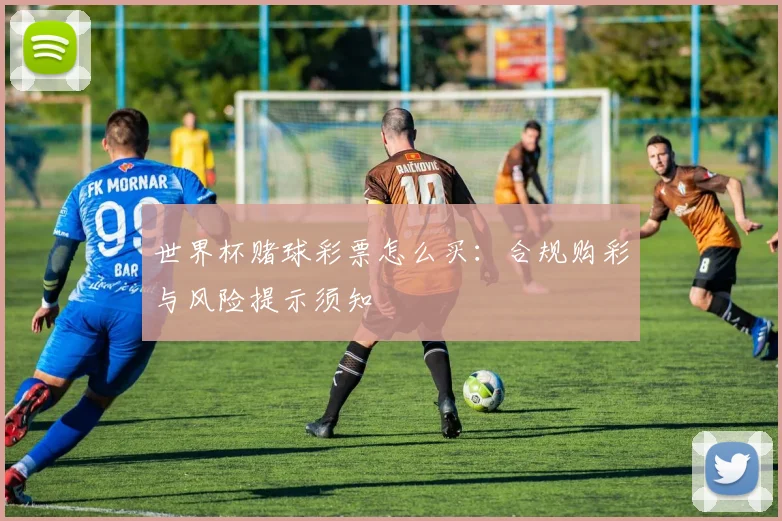 世界杯赌球彩票怎么买:合规购彩与风险提示须知